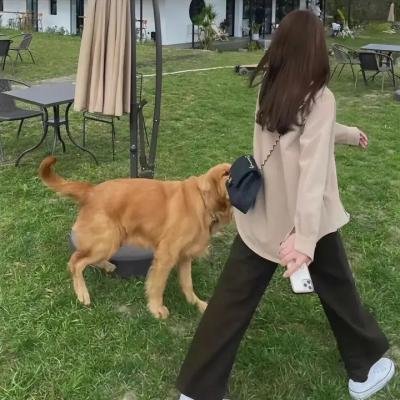 橙色女孩